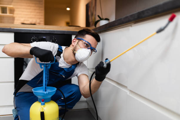 Best Termite Control Services  in South Padre Island, TX