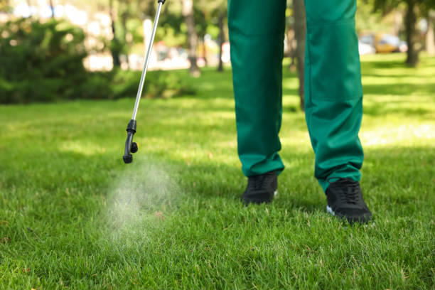 Best Emergency Pest Control  in South Padre Island, TX