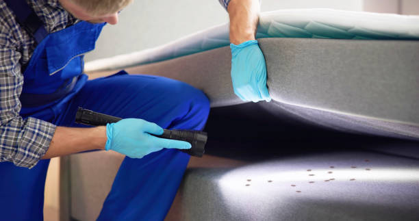 Best Affordable Pest Control Services  in South Padre Island, TX
