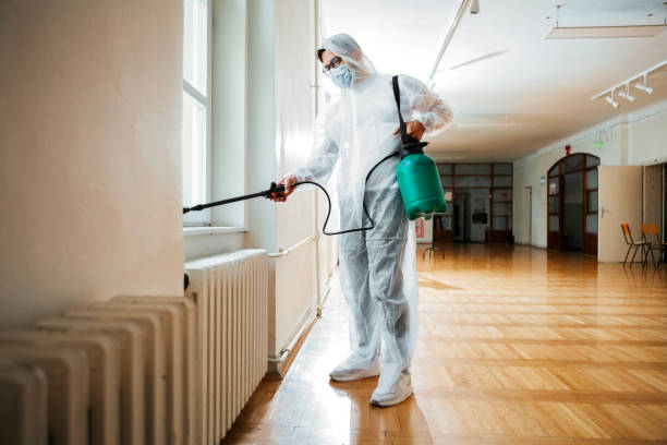 Best Best Pest Control Companies  in South Padre Island, TX